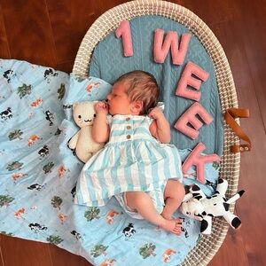 Baby Monthly and Weekly Milestone Numbers and Letters